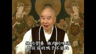 無量壽淨空15-22